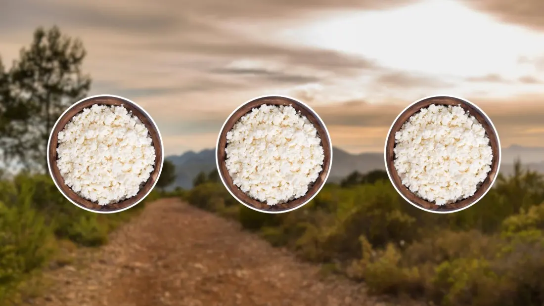 Cottage Cheese on the Trail: Three Hiking Snacks a Dietitian Actually Rates