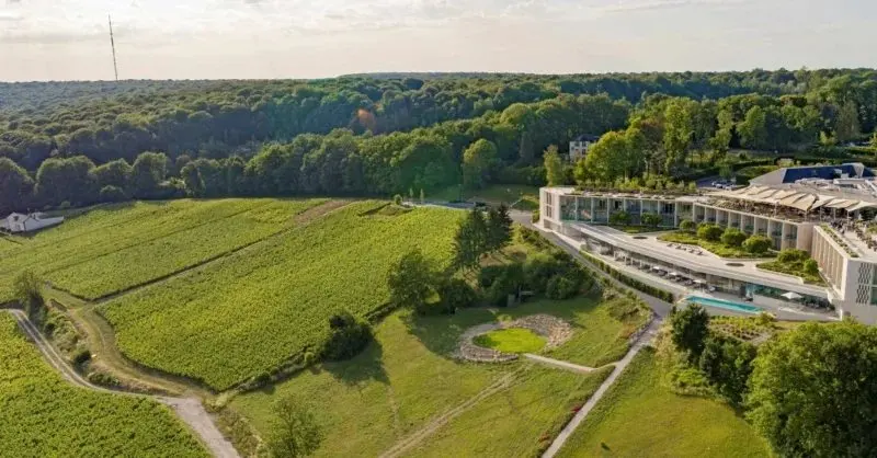 Sleep Where the Vines Grow: 13 Winery Hotels Worth Planning a Trip Around