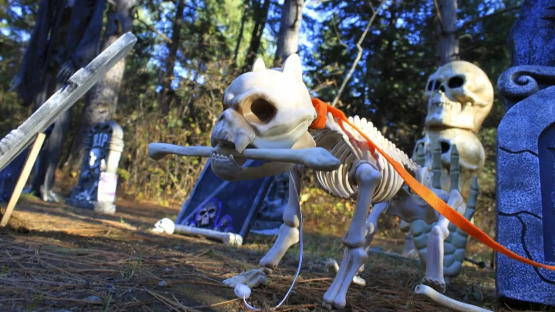 Halloween comes to the campsites: five Ontario Parks hosting spooky events this October