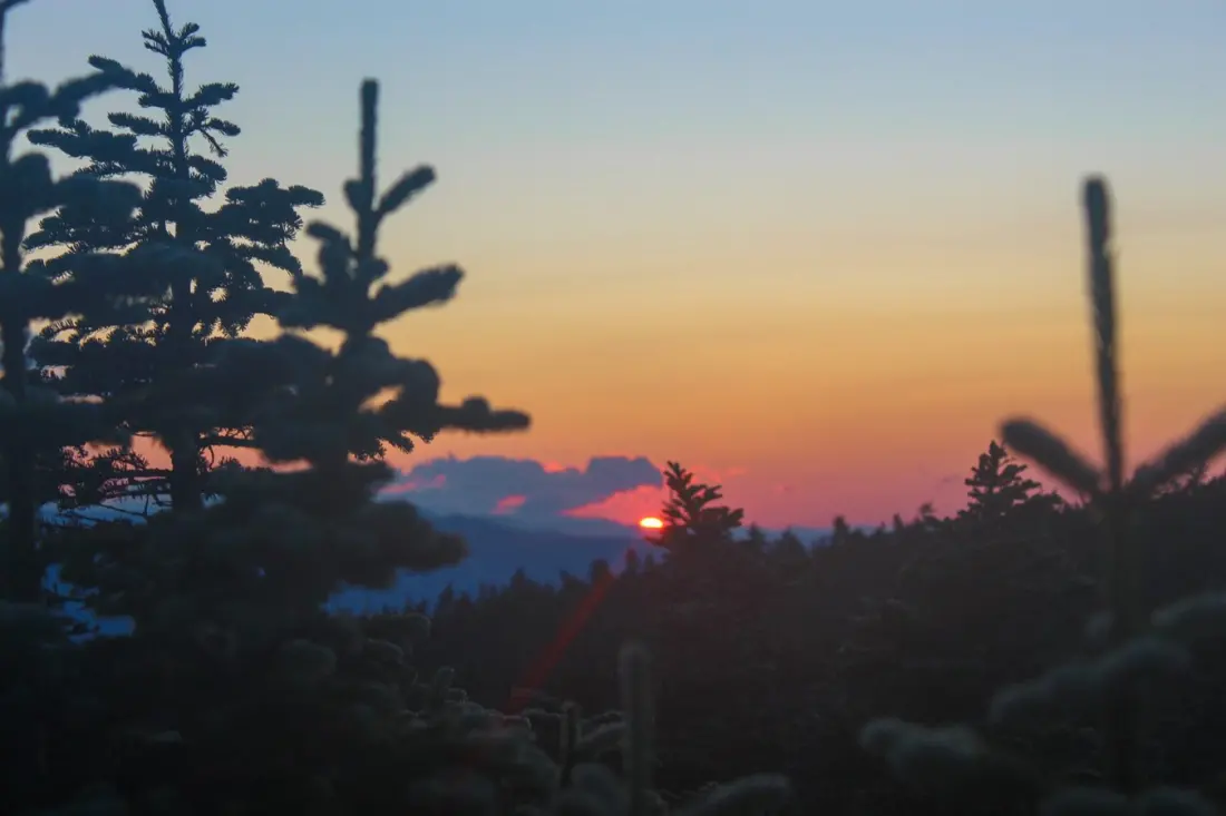 A Million Voices Against the Roadless Rule Repeal — And What Comes Next for US National Forests