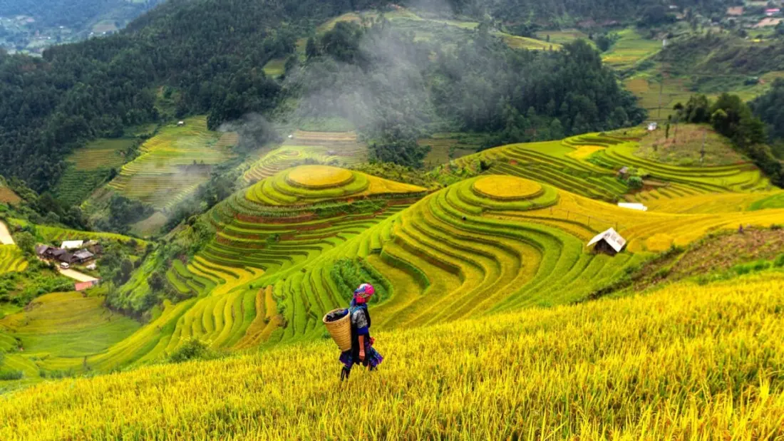 Vietnamese travellers stay upbeat and adaptable, says Booking.com's new Travel Happiness Index