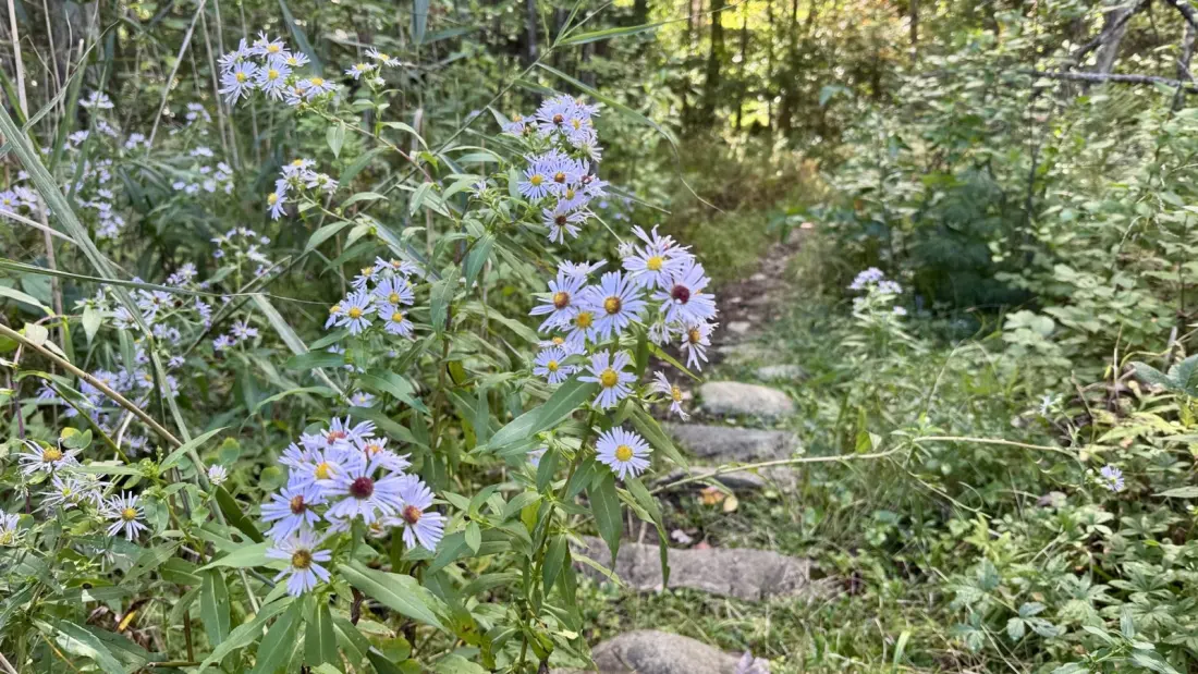 Hexacuba and the Long Road Back: A 25-Mile Final Push on the Appalachian Trail