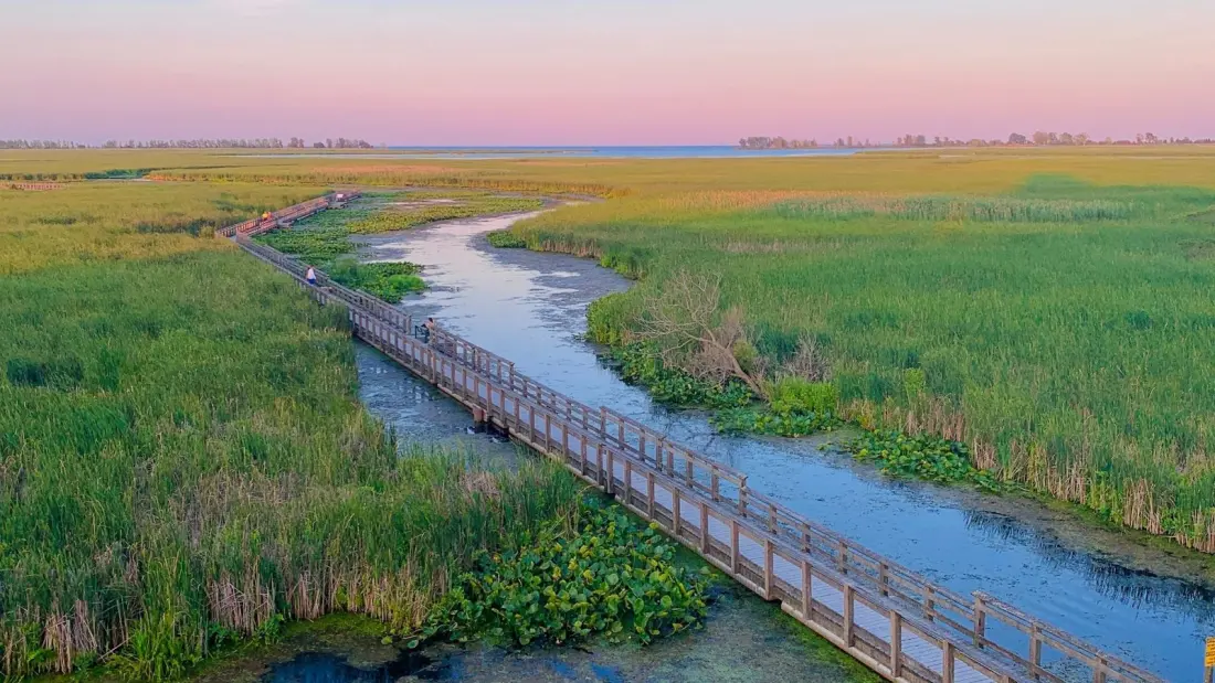 Five floating boardwalks in Ontario where you walk on water