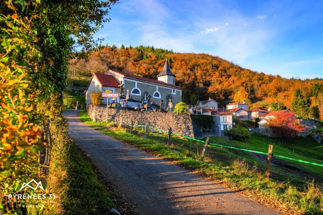 Autumn in the Central Pyrenees: Deer, Gold Forests and a Brand-New Natural Park