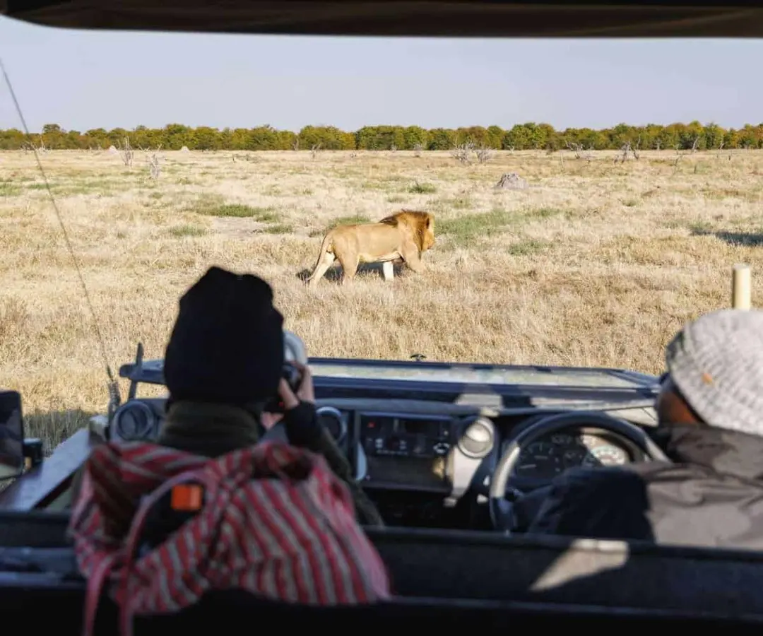 Why a private safari guide can change the whole trip