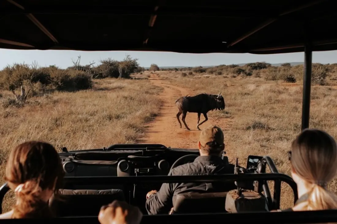Kruger National Park's new 2026 entry fees: what international visitors will pay