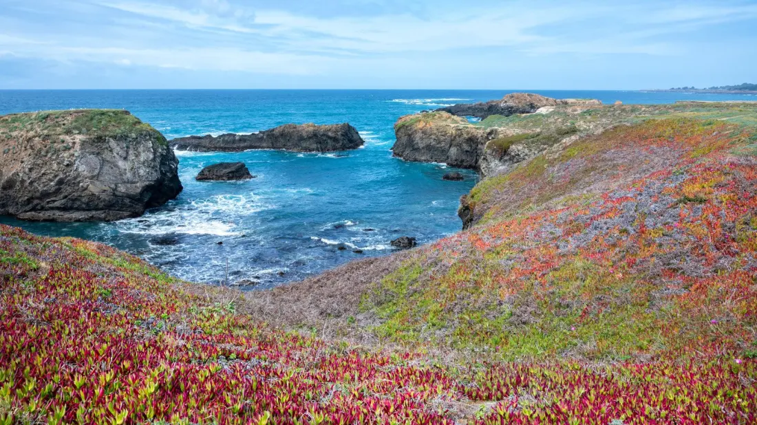 Mendocino Headlands State Park: Whale-Spottings, Bluff Trails and Beaches You Might Have to Yourself