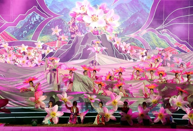 Buckwheat blooms take over Vietnam's Đồng Văn Karst Plateau as the 12th flower festival gets underway