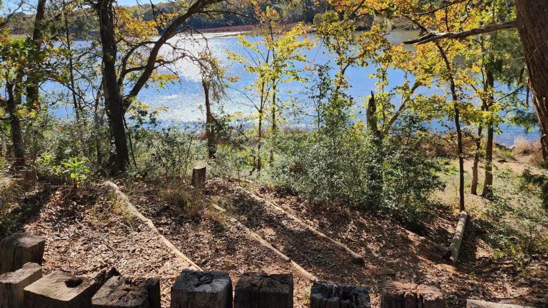 Buescher State Park: The Quiet Texas Escape Between Austin and Houston