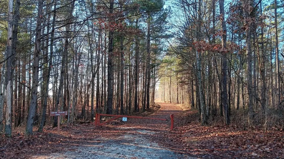 Virginia's Biggest State Forest Sits Quietly Between Roanoke and Richmond
