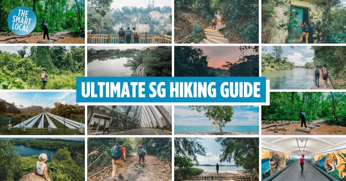Singapore's 50 best hiking trails, sorted by region and difficulty