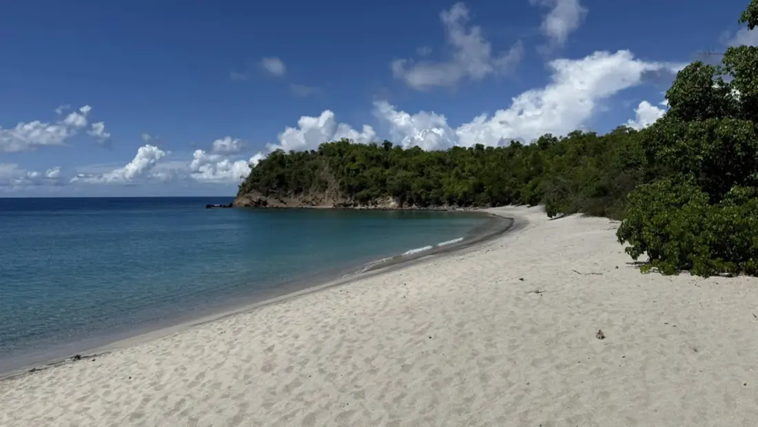 Spicemas Is Turning Grenada Into a Summer Carnival Powerhouse
