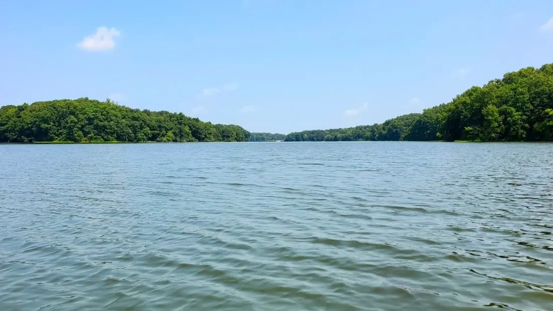 Coffeen Lake: Illinois' Quiet Bass reservoir Two Hours East of the Mississippi