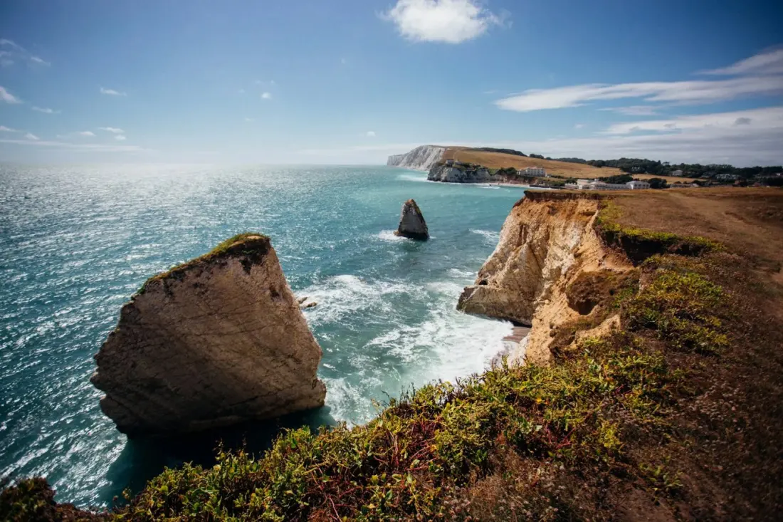 A New Dinosaur Was Hiding in a Museum Drawer for 100 Years — On the Isle of Wight