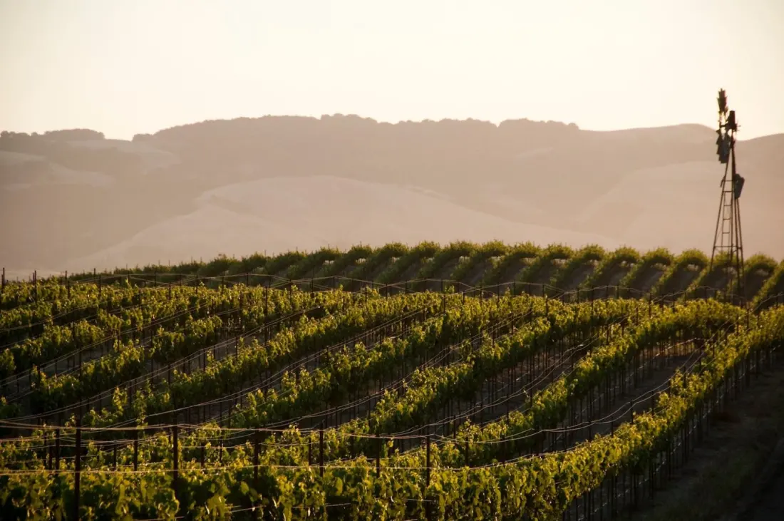 Delta will now fly a case of wine home for free from Northern California