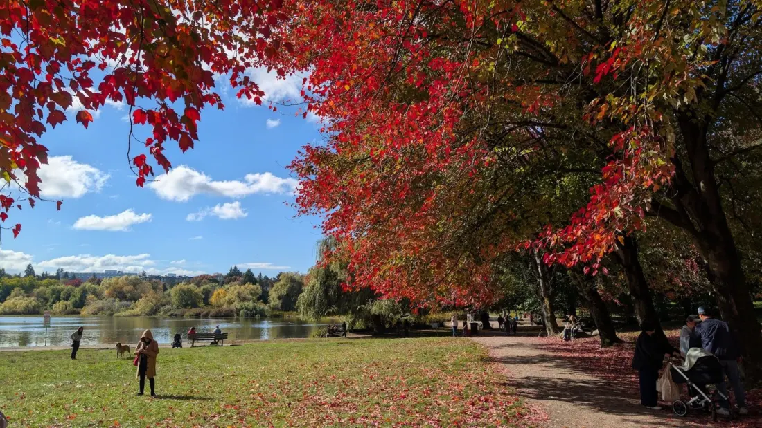 Vancouver this week: a Green mayor, peak fall colours, and a wobbly ski forecast