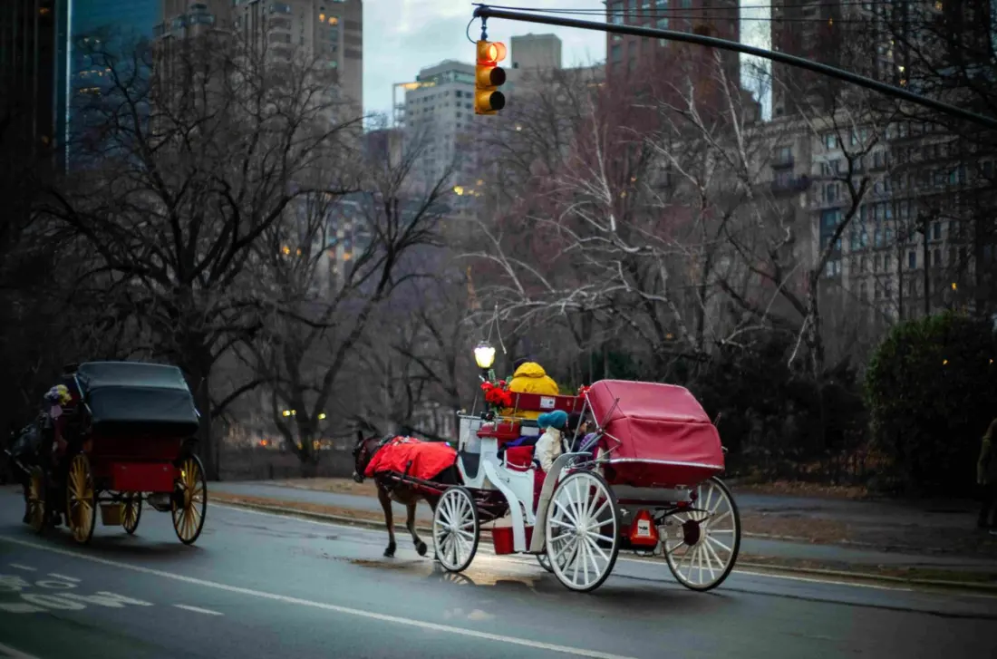 New York will retire its Central Park horse carriages by June 2028