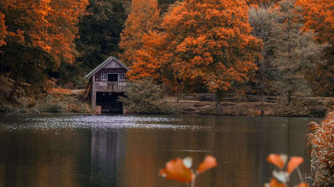 Winkworth Arboretum: Surrey's Tree-Lover's Escape Between London and Portsmouth