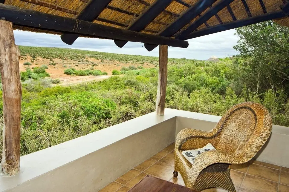 Inside Addo for under R500: the cheapest ways to sleep in South Africa's elephant park