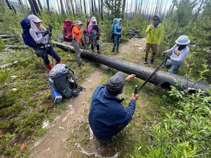 Clearing Blowdown and Chasing Miles: A Volunteering Trip on the Pacific Northwest Trail