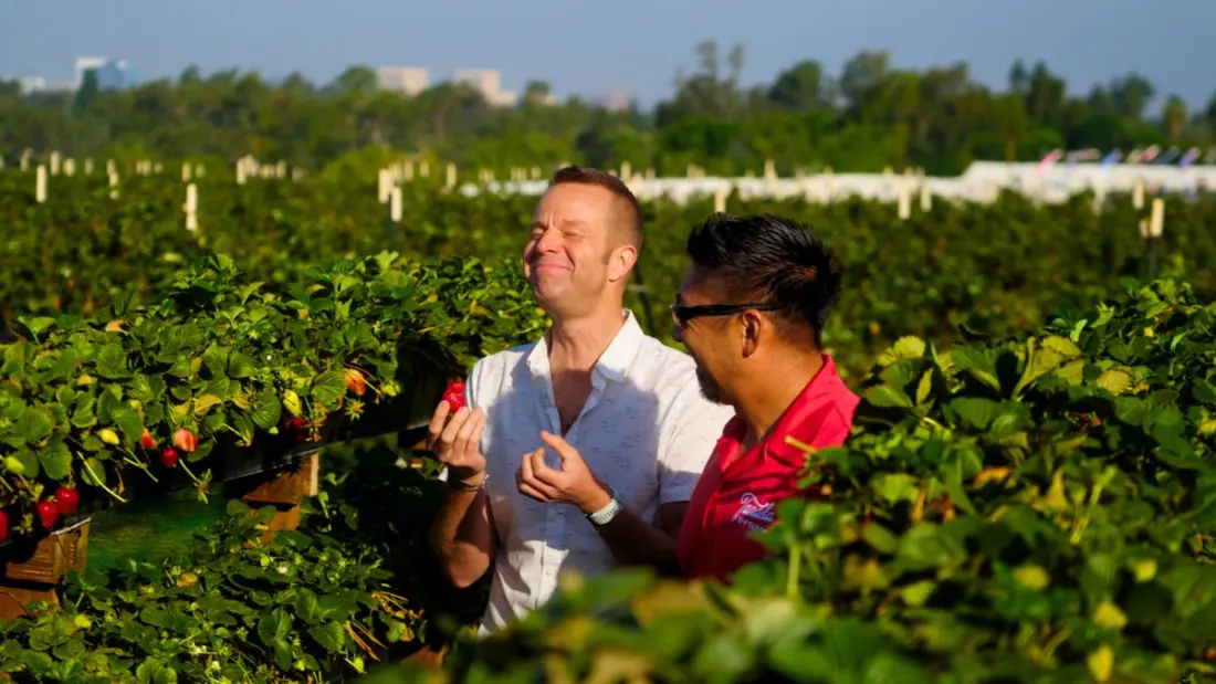 Outdoor Eats Season 4 Serves Up Ireland, the Olympic Peninsula and Southern California