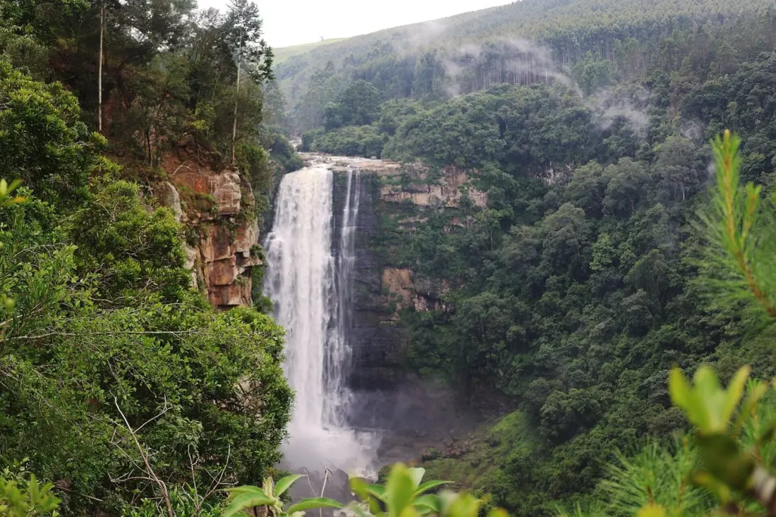Karkloof: ziplines, cranes and spa days in the KwaZulu-Natal Midlands