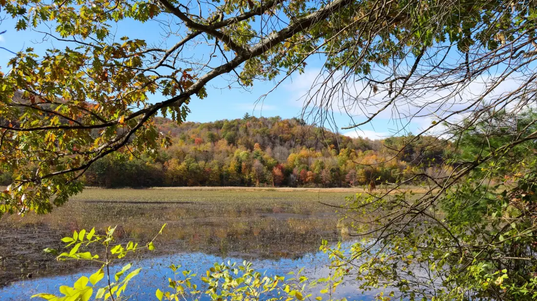 Bomoseen State Park: Vermont's Quiet Lakeside Escape With Camping, Slate History And Eight Miles of Trails