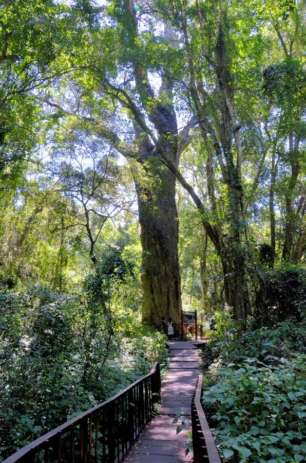 Six South African spots where kids can explore nature with all five senses