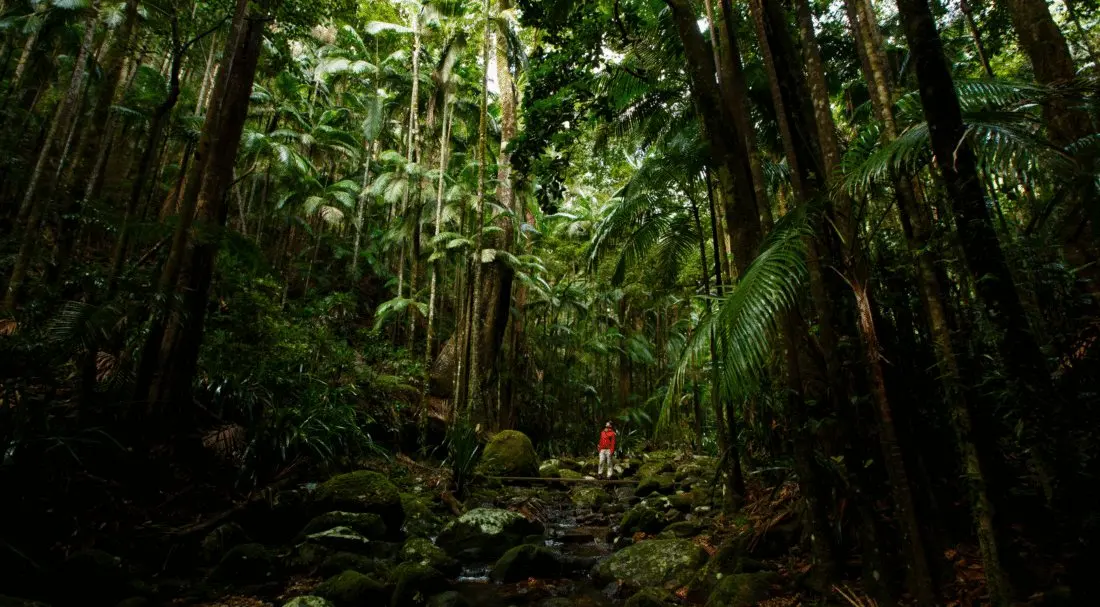 Fifty Years of The Wilderness Society: Why Every Trail You Love Was Fought For