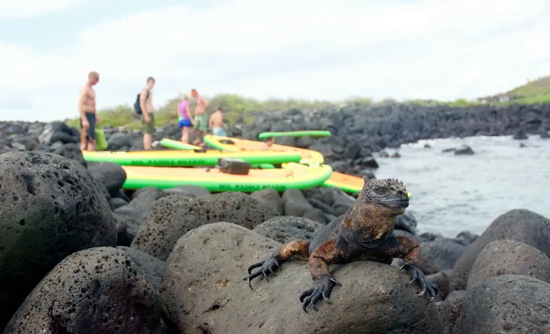 Ecuador's Neotropic Expeditions Earns B Corp Certification After 30 Years in Adventure Travel