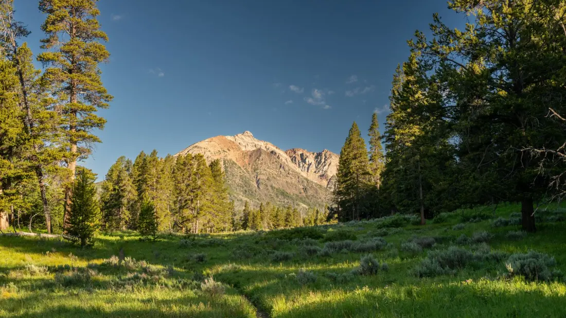 Yellowstone's 10 Most Dangerous Hikes, From Bison Country to 10,000-Foot Summits