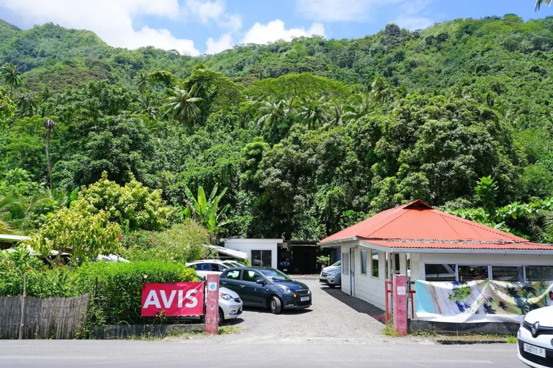 Skip the rental counter: how credit cards unlock Avis President's Club status