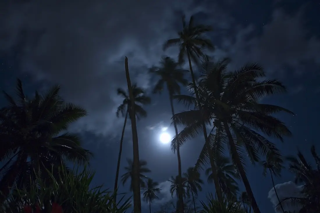 Night Marchers: Hawaiʻi's Warrior Ghosts and the Rules for Surviving Them