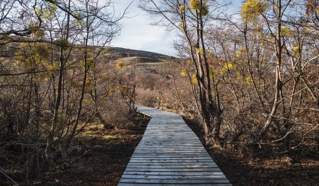 Torres del Paine's Easiest Hike Is Built From Nine Tonnes of Recycled Plastic