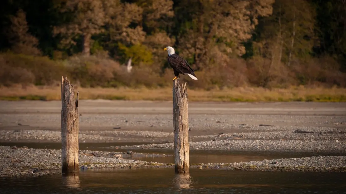 Parkbus is running its first-ever two-day route from Vancouver to the Harrison River Valley