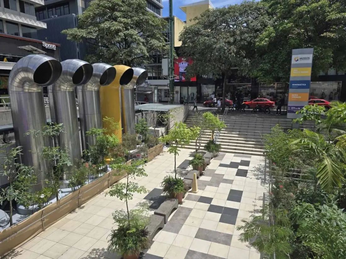 A Borrowed Forest Has Sprung Up in Central San José — With Free Music on Saturday