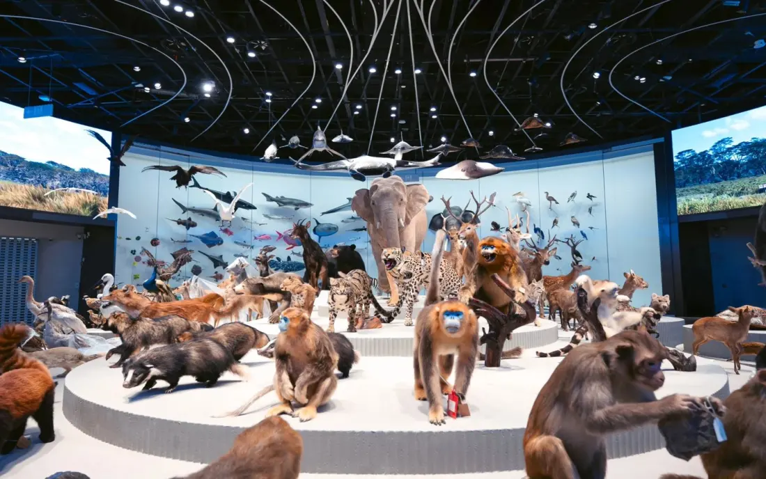 Shenzhen's new Natural History Museum: 3.8 billion years under one flowing roof