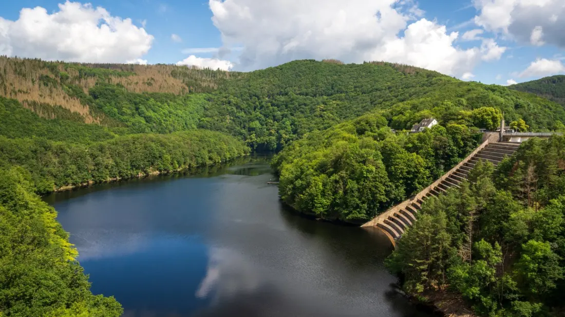 Eifel National Park: Germany's Young Wilderness Where Wildcats Roam and Reservoirs Gleam