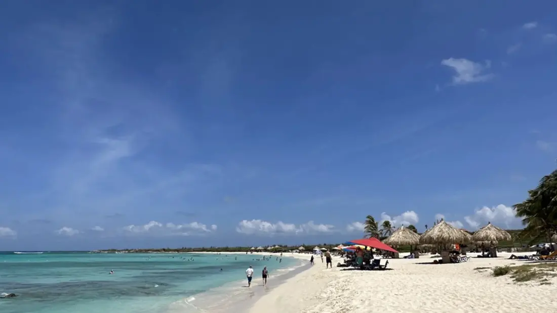 Five Aruba Beach Bars Worth Planning a Day Around