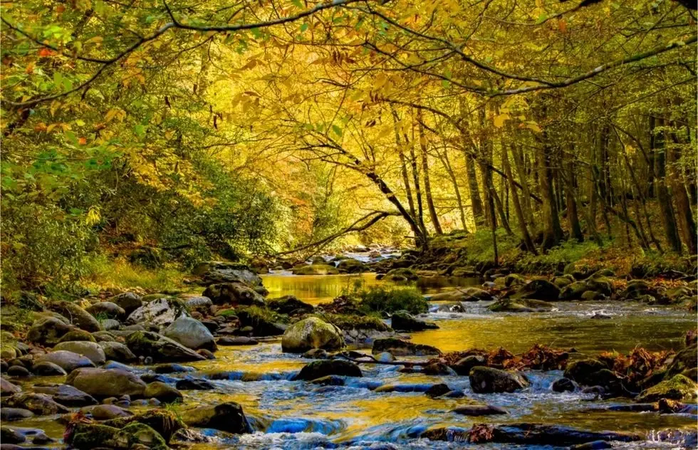 Fall Is Prime Time for America's National Parks: 12 Parks Worth the Trip