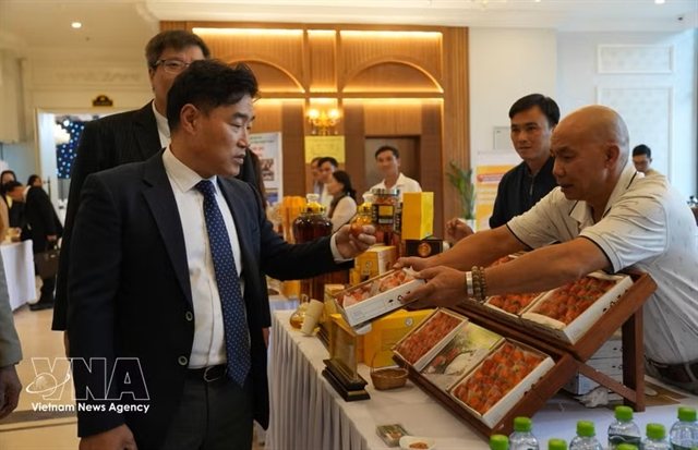 Đà Lạt courts Korean travellers and investors as Lâm Đồng deepens ties with South Korea