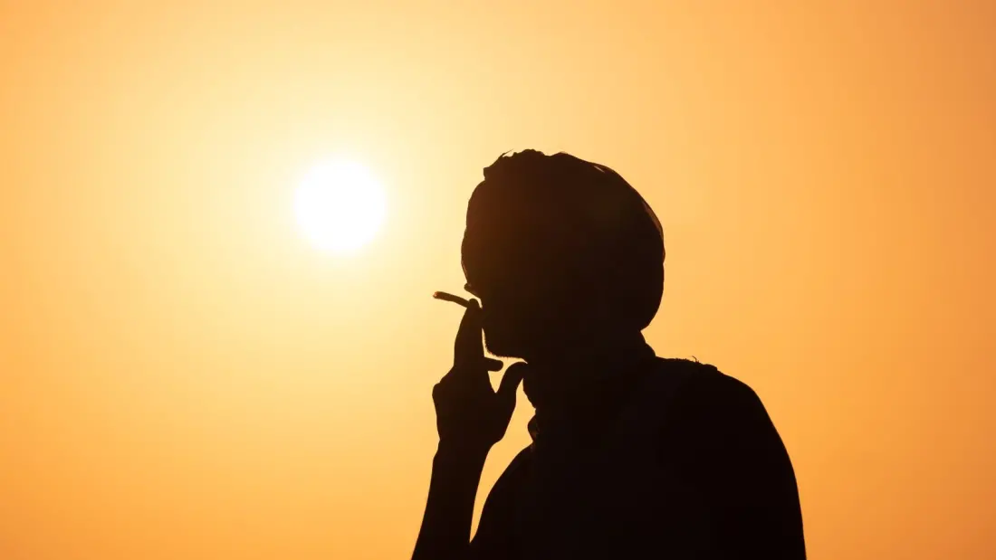 44% of American Hikers Admit to Getting High on the Trail — Cannabis Leads the Pack