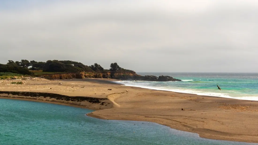 Gualala Point: The Quiet Sonoma Coast Park With Redwood Camping and Whale-Watching Bluffs