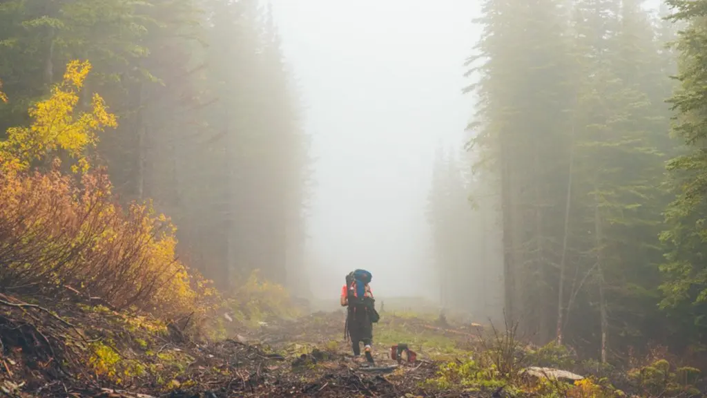 Castle Provincial Park: Alberta's quiet wilderness with a waterfall and 25,000 hectares of trails