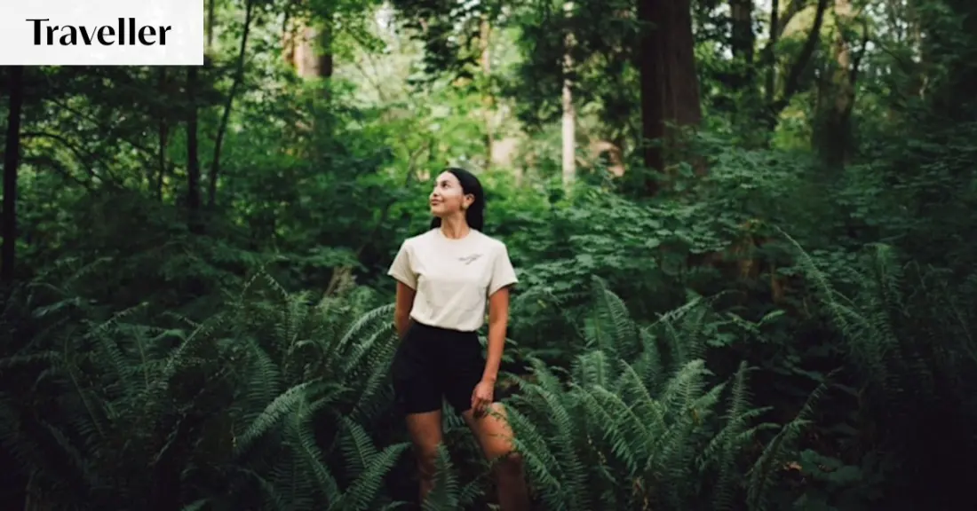 Talking trees and market feasts: two sides of Vancouver you shouldn't skip