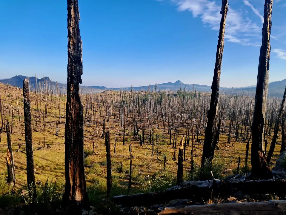 Trail Life, Pancakes and Pit Toilets: A Thru-Hiker's Reset on the Pacific Crest Trail in Oregon