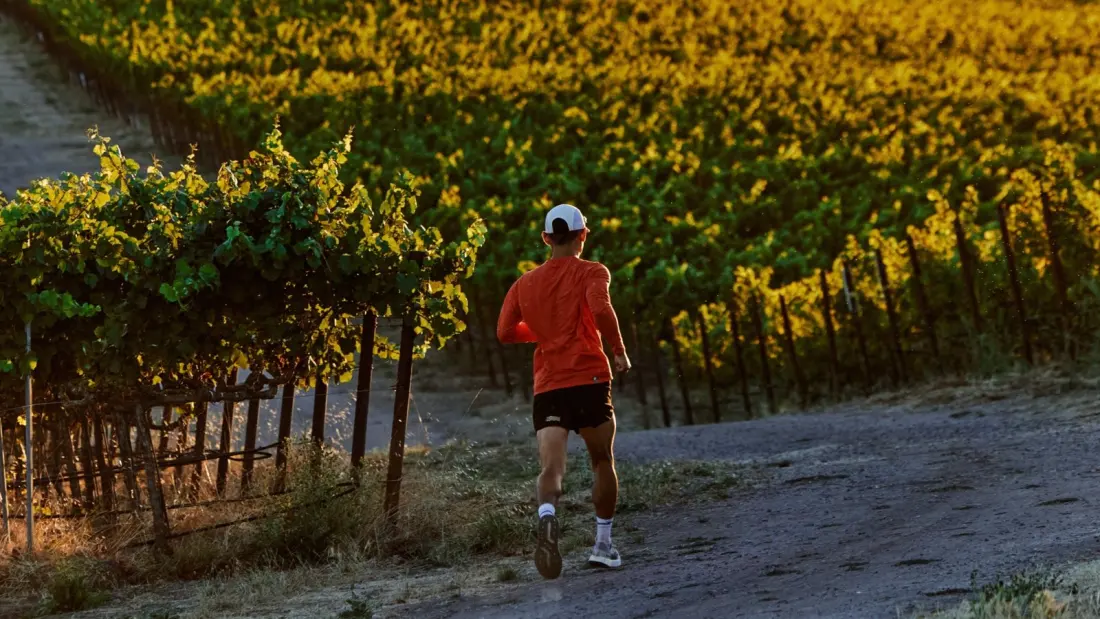 Wine Country Trail Running: Why Sonoma and Lodi Are the Cure for Marathon Burnout