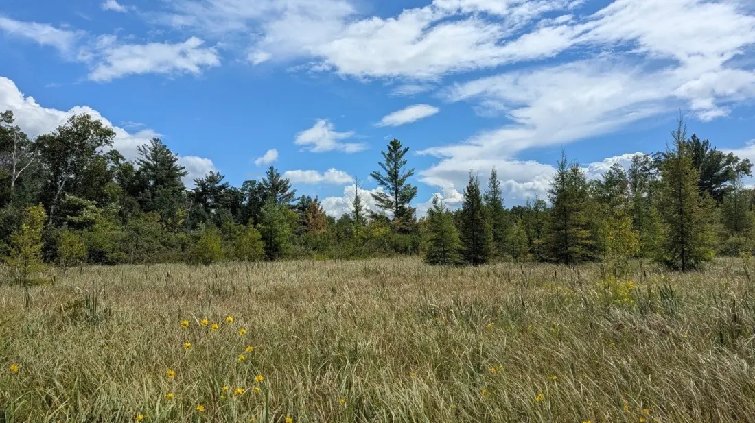 Navarino Wildlife Area: Wisconsin's 15,000-Acre Escape Under an Hour From Green Bay