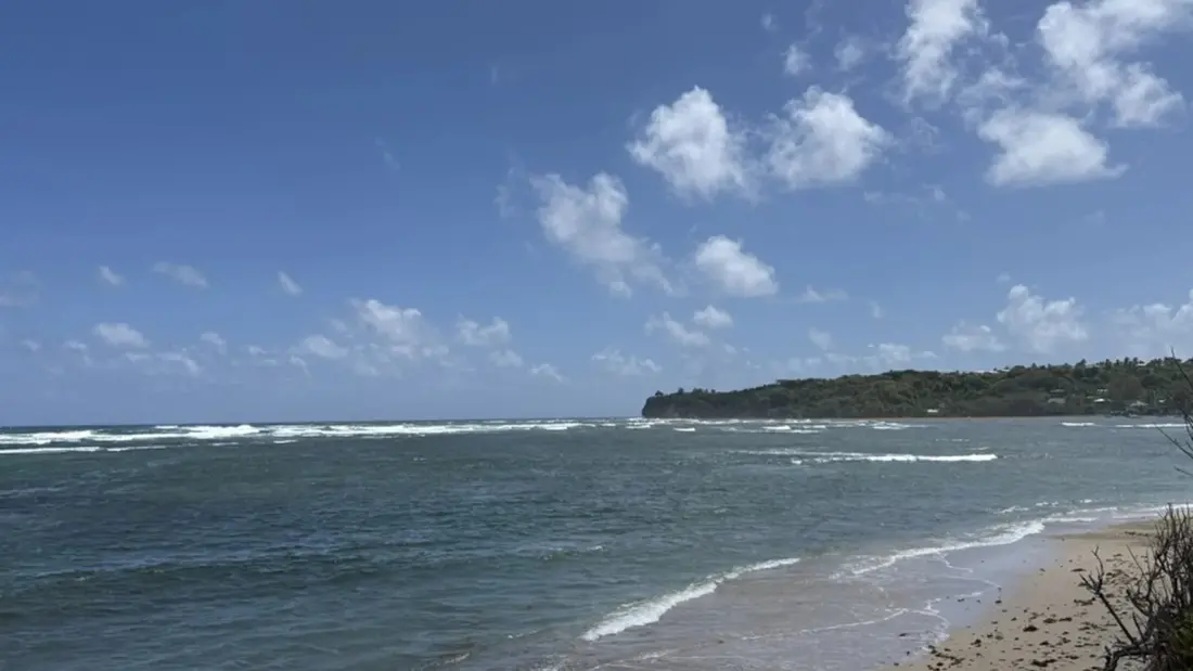 Barbados Is Having a Hotel Boom — and Speightstown Is the Town to Watch