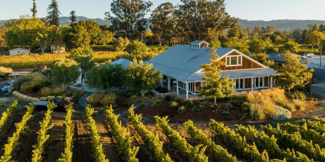 Harvest Season on the West Coast: Grape Picking, Apple Orchards and Olive Mill Tours Worth Planning Around